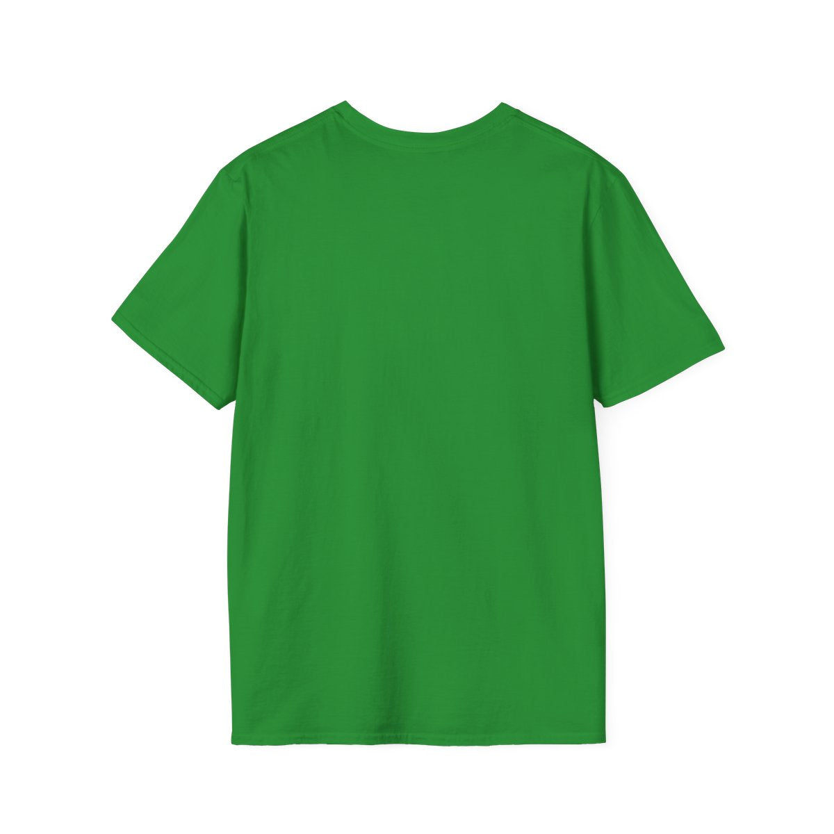 Whimsical Personalized St. Patrick's Day Unisex Tee, Teacher Gift, Funny Leprechaun Shirt